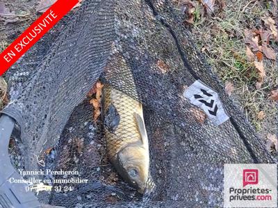 Acheter Terrain 5000 m2 Noyant