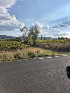 For sale Montfort-sur-argens 2527 m2 Var (83570) photo 2