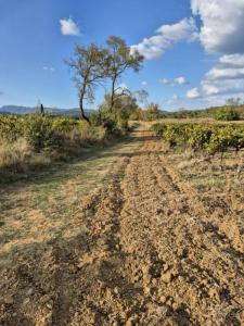 For sale Montfort-sur-argens 2527 m2 Var (83570) photo 3