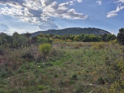 Acheter Terrain 10300 m2 Cabasse