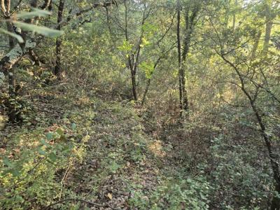 For sale Bras 15720 m2 Var (83149) photo 1