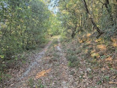 For sale Bras 15720 m2 Var (83149) photo 2