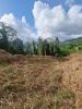 For sale Land Lamentin