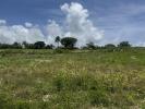 Vente Terrain Petit-canal