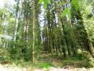 For sale Land Melrand  13280 m2