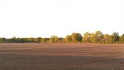 Vente Terrain Jeu-les-bois  32767 m2