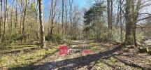 For sale Forested aera Ferte-sous-jouarre 32767 m2