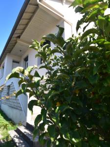 Annonce Vente 5 pices Maison Isle-d'espagnac 16