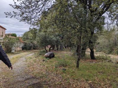 For sale Montesquieu-des-alberes 2312 m2 Pyrenees orientales (66740) photo 1