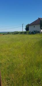 For sale Ribecourt-dreslincourt 598 m2 Oise (60170) photo 1