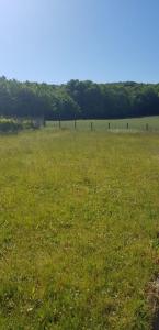 For sale Ribecourt-dreslincourt 598 m2 Oise (60170) photo 2