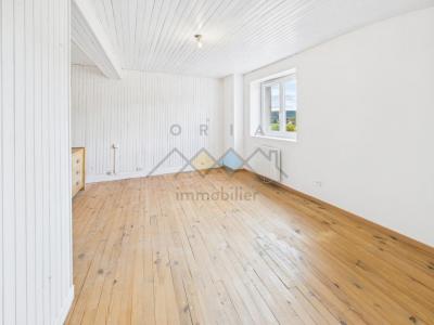 Acheter Maison Villecey-sur-mad Meurthe et moselle