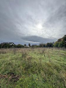 For sale Volgelsheim 3310 m2 Haut rhin (68600) photo 0