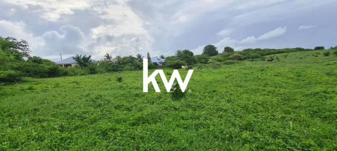 Acheter Terrain 632 m2 Saint-francois