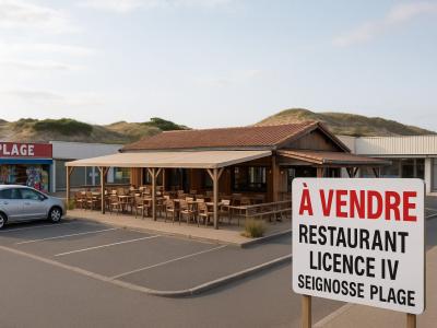 For sale PLAGE 115 m2 Landes (40510) photo 0