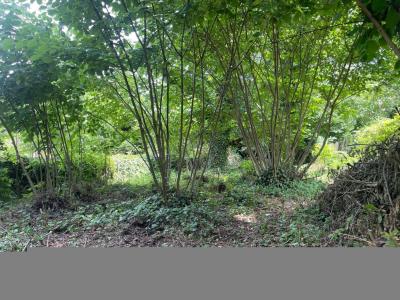 For sale PROCHE LES CABANNES 5 rooms 140 m2 Ariege (09310) photo 1