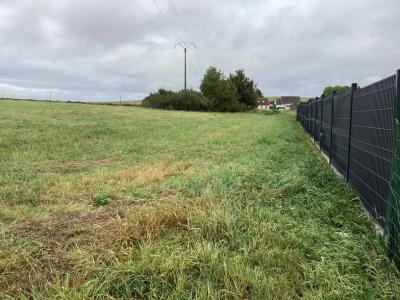 Acheter Terrain 1416 m2 Hamel