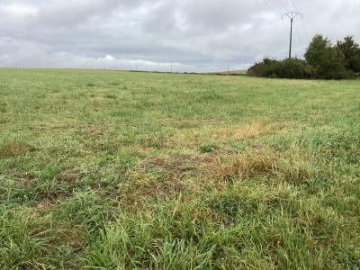 Acheter Terrain Hamel Somme