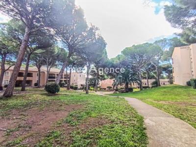 Annonce Vente Bureau Saint-raphael 83