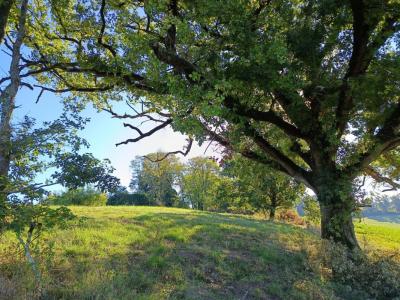 For sale Montdurausse 9582 m2 Tarn (81630) photo 0