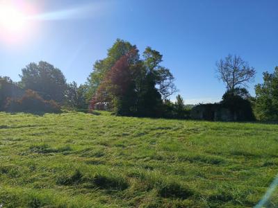 For sale Montdurausse 9582 m2 Tarn (81630) photo 1