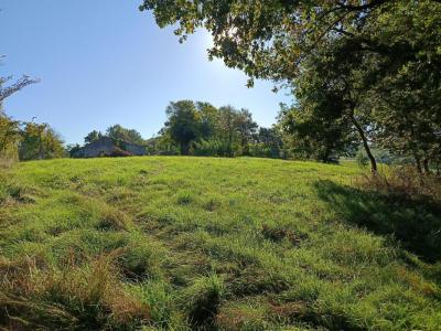 For sale Montdurausse 9582 m2 Tarn (81630) photo 2