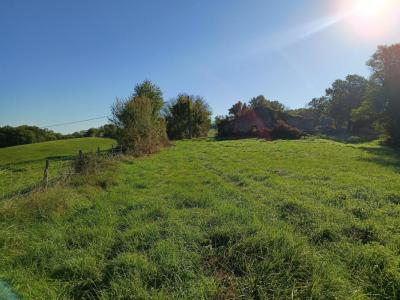 For sale Montdurausse 9582 m2 Tarn (81630) photo 3
