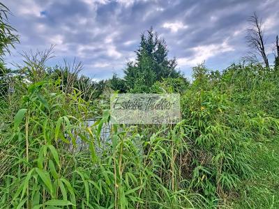 For sale Ortaffa Pyrenees orientales (66560) photo 2