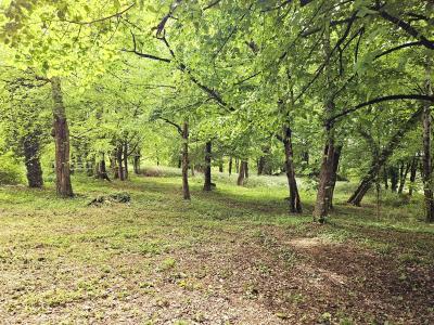 For sale Sorges 9 rooms 230 m2 Dordogne (24420) photo 2