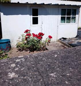 Acheter Maison 42 m2 Laval