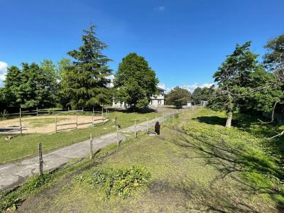 For sale Marcilly-le-chatel 10 rooms 220 m2 Loire (42130) photo 2