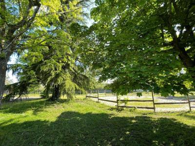 For sale Marcilly-le-chatel 10 rooms 220 m2 Loire (42130) photo 3