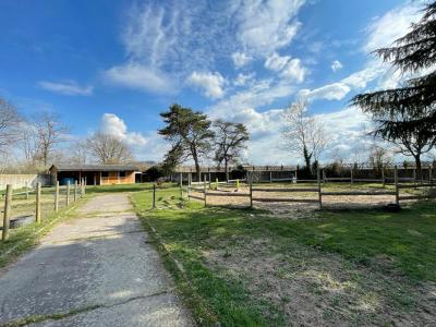 For sale Marcilly-le-chatel 10 rooms 220 m2 Loire (42130) photo 4