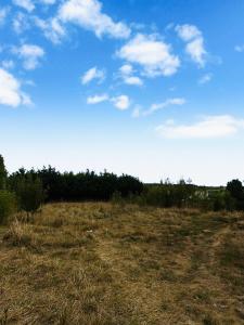Annonce Vente Terrain Langon 33