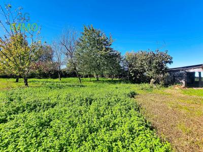 For sale Cardeilhac 2 rooms 60 m2 Haute garonne (31350) photo 3