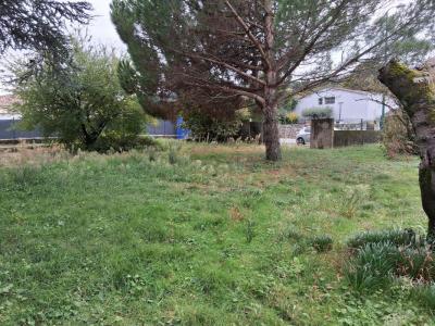 Annonce Vente Terrain Cornas 07