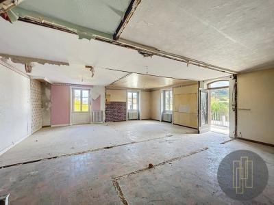 Annonce Vente 5 pices Maison Sourcieux-les-mines 69