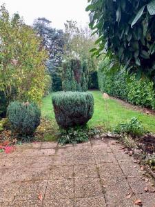 Acheter Maison 82 m2 Bourg-en-bresse