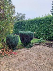 Acheter Maison Bourg-en-bresse Ain