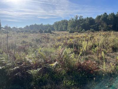 For sale Carcans 760 m2 Gironde (33121) photo 0