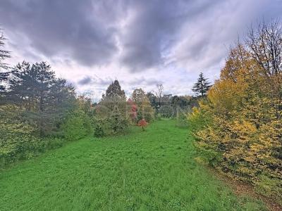 Annonce Vente 4 pices Appartement Saint-cyr-au-mont-d'or 69