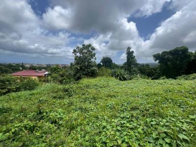 For sale Fort-de-france 5275 m2 Martinique (97200) photo 0