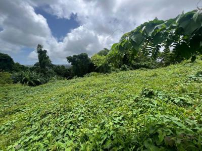 Annonce Vente Terrain Fort-de-france 972