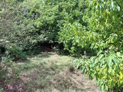 Acheter Terrain 3116 m2 Terre-de-bas