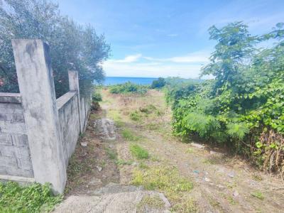 For sale Vieux-habitants 2275 m2 Guadeloupe (97119) photo 0