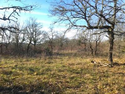 For sale ALENTOURS Lot (46090) photo 2