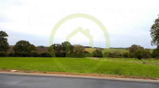 Acheter Terrain 3220 m2 Rodalbe