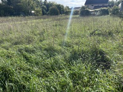 Annonce Vente Terrain Crancey 10