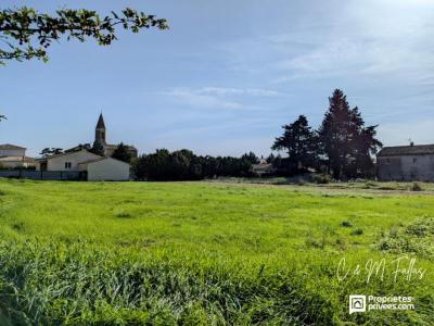 Annonce Vente Terrain Travaillan 84