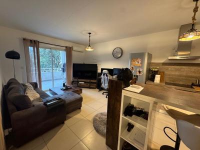 Annonce Vente 2 pices Appartement San-nicolao 20